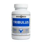 Капсули за мъжка потентност Tribulus 100 капсулиснимка 4