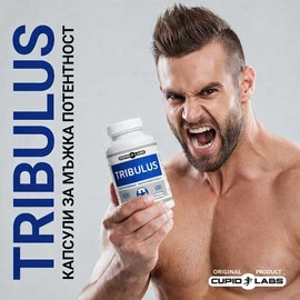 Капсули за мъжка потентност Tribulus 100 капсулиснимка 2
