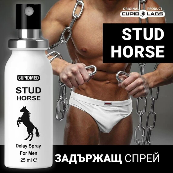 Снимка на 2бр Задържащ спрей за мъже STUD Horse