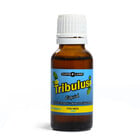 Cupidon таблетки 5 за мъже и Tribulus капки за силна потенцияснимка 3