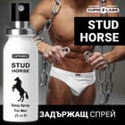 2бр Задържащ спрей за мъже STUD Horseснимка 2