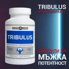 Капсули за мъжка потентност Tribulus 100 капсулиснимка 5