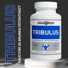 Капсули за мъжка потентност Tribulus 100 капсулиснимка 3