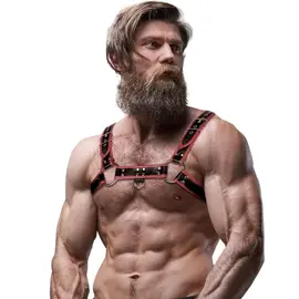 FETISH SUBMISSIVE ATTITUDE - MENS ECO-LEATHER CHEST харнес черен/червенснимка 4