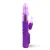 Hi-tech Вибратор Advanced Passion Rabbit Purpleснимка 3