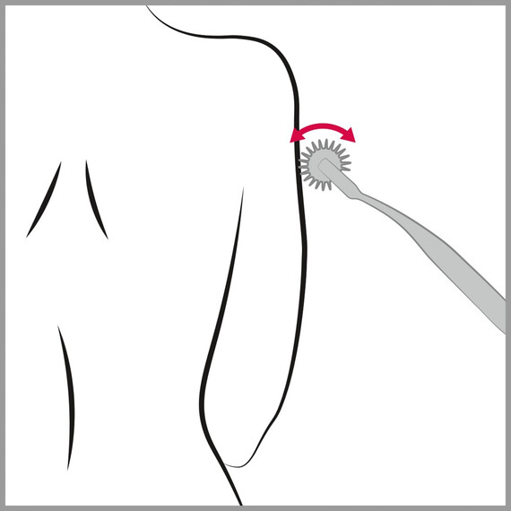 Зъбчато колело Pin Wheel  Аксесоари