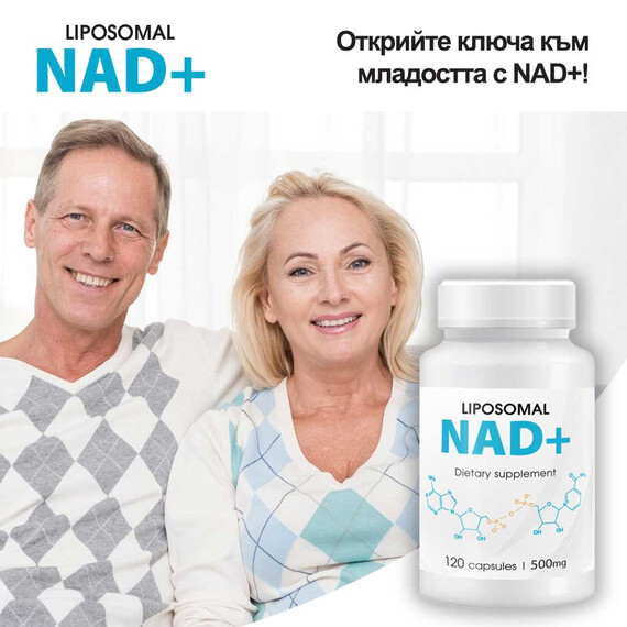 Liposomal NAD+ добавка 500 mg - 120 капсули мнения и цена с намаление от sex shop Liposomal NAD+ добавка 500 mg - 120 капсули мнения и цена с намаление от sex shop